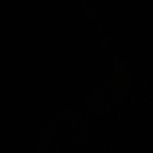 Meet your Posher, Jackie